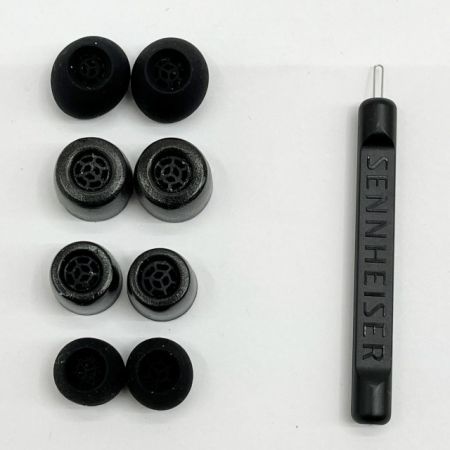  SENNHEISER ゼンハイザー イヤホン 有線 IE300