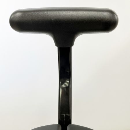  アユール・チェア キャスタータイプ オクトパス チェア 1人掛け 姿勢改善・腰痛対策 ブラック