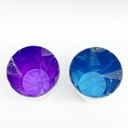  HORIE 華チタン ２重タンブラー 雪花 マゼンタ ブルー 2個セット