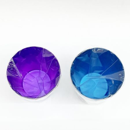  HORIE 華チタン ２重タンブラー 雪花 マゼンタ ブルー 2個セット