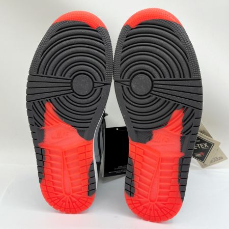  NIKE ナイキ AIR JORDAN1 GORE-TEX ハイカットスニーカー 26.5cm US8.5 DB2889-002 黒×赤