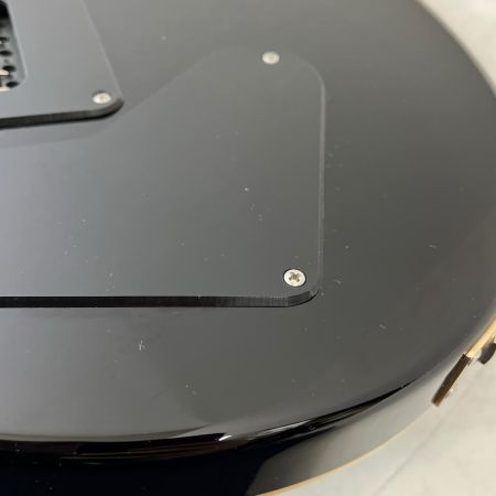  Paul Reed Smith PRS エレキギター ソフトケース付 CE24 グリーン系