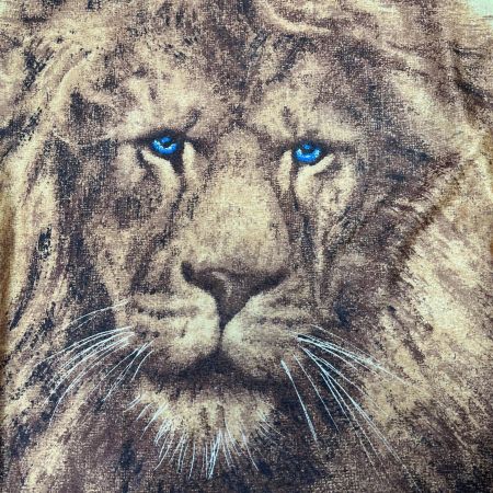  ITALIYA イタリヤ 伊太利屋 カットソー SIZE Free ライオンフェイス レディース ミセス イエロー