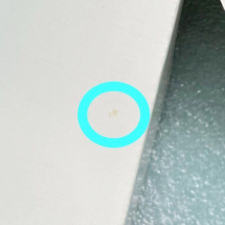  Tiffany & Co. ティファニー ブルーカップ カップ 未使用品 箱付