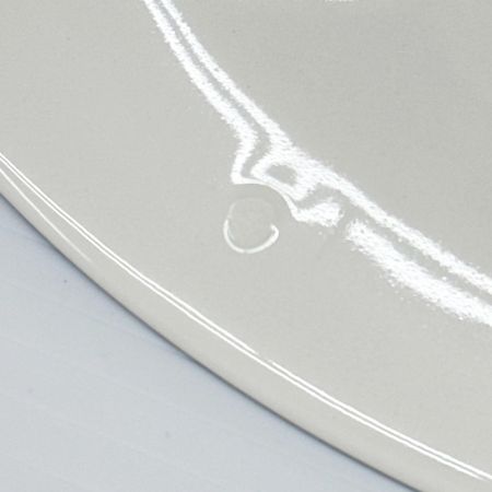 ROYAL COPENHAGEN ロイヤル・コペンハーゲン ゴールデンサマー 4Pセット21cmプレート×2・カップ&ソーサセット 洋食器 箱付