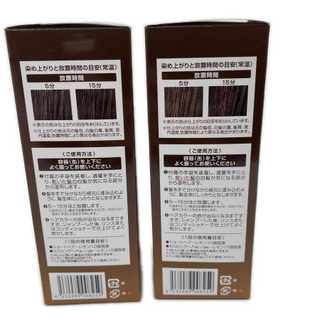  ヘアボーテ エクラ ボタニカル エアカラーフォーム ダークブラウン ヘアカラー ダークブラウン 2点セット