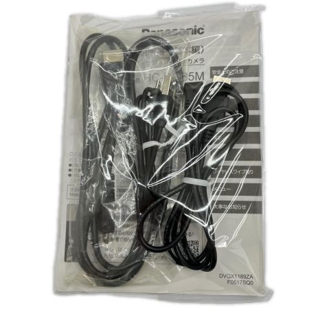  Panasonic パナソニック デジタルハイビジョンビデオカメラ HC-W585M ホワイト