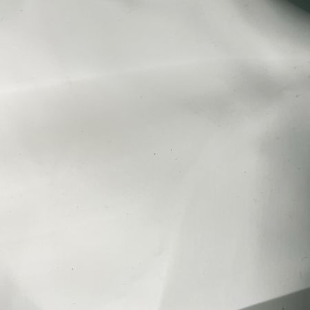 AO Coolers エーオークーラーズ クーラーバッグ 保冷バッグ 中型 ソフト ウッド柄 アウトドア