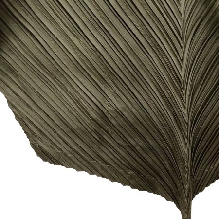 ISSEY MIYAKE イッセイミヤケ 変形カットソー JG12170 カーキ