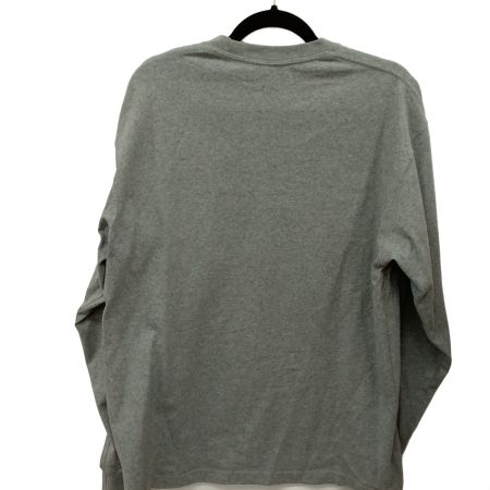 THE NORTH FACE ザノースフェイス ロンT NT32443 グレー