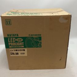 HATAYA ハタヤ 屋外用防雨型 LED 30W プロライト バイス取り付け型 LFS-30 Nランク
