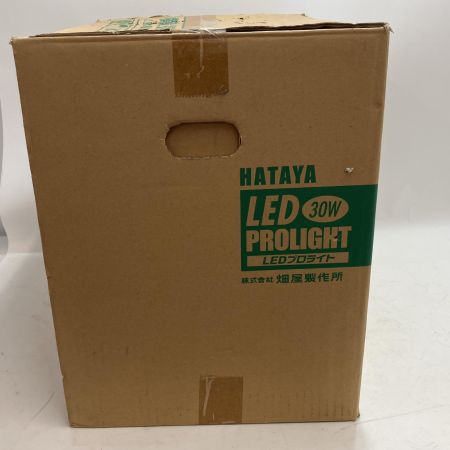 HATAYA ハタヤ 屋外用防雨型 LED 30W プロライト バイス取り付け型 LFS-30