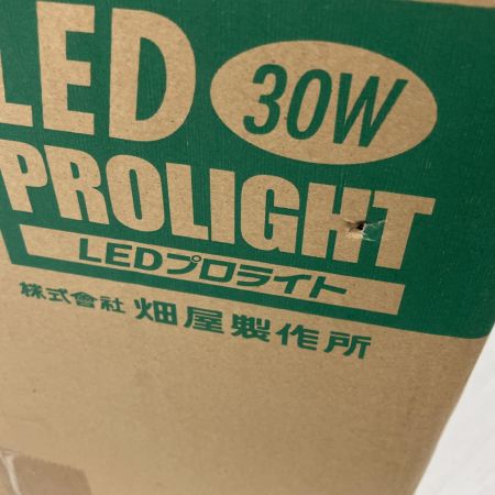 HATAYA ハタヤ 屋外用防雨型 LED 30W プロライト バイス取り付け型 LFS-30