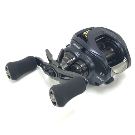  DAIWA ダイワ ベイトリール STEEZ AⅡTW 1000XHL