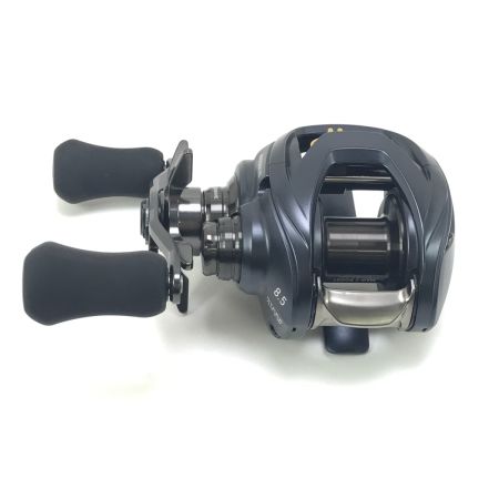  DAIWA ダイワ ベイトリール STEEZ AⅡTW 1000XHL
