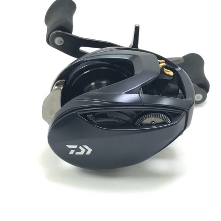  DAIWA ダイワ ベイトリール STEEZ AⅡTW 1000XHL