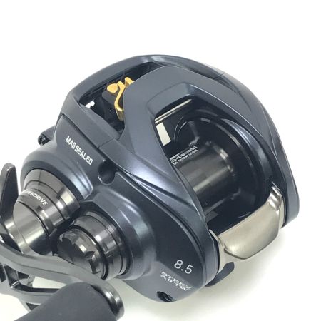 DAIWA ダイワ ベイトリール STEEZ AⅡTW 1000XHL