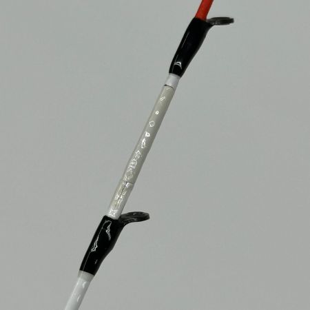 DAIWA ダイワ 船竿 ロッド 竿袋付 KYOKUEI KAREI EX AGS160 釣り フィッシング 極鋭 カレイEX AGS 160