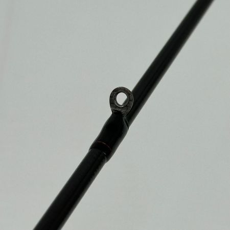 DAIWA ダイワ 船竿 ロッド 竿袋付 KYOKUEI KAREI EX AGS160 釣り フィッシング 極鋭 カレイEX AGS 160