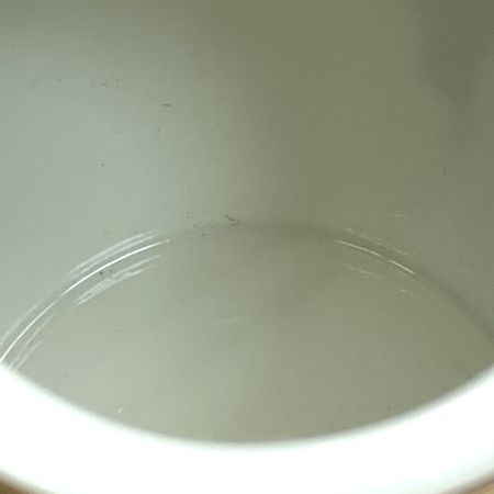  RICHARD GINORI リチャード・ジノリ ティーポット ヴィルトゥス/クリーマーセット