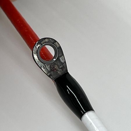 DAIWA ダイワ ロッド 船竿 極鋭ヤリイカEX 91－165 05500212