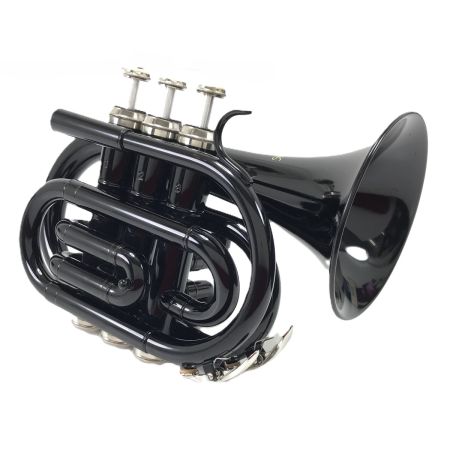  Kaerntner ケルントナー 管楽器 ポケットトランペット ktr-33p/bk