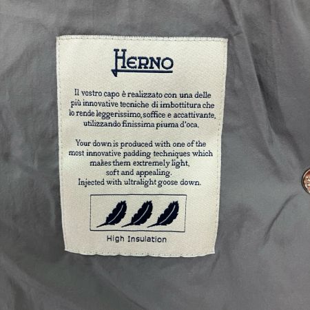  HERNO ヘルノ ダウンジャケット Lサイズ  PI0489D-19288-2700 グレー