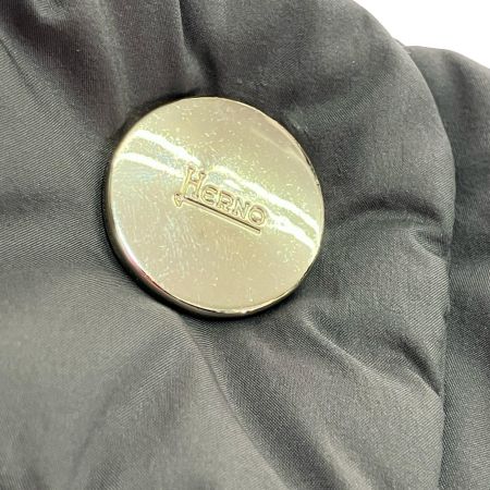  HERNO ヘルノ ダウンジャケット Lサイズ  PI0489D-19288-2700 グレー