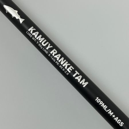 DAIWA ダイワ ロッド 竿 KAMUY RANKE TAM カムイランケタム 2P 一部ガイド割れ 05809536