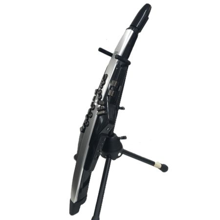  ROLAND ローランド エアロフォンプロ ACアダプター・ケース・取説付 AE-30