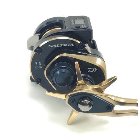  DAIWA ダイワ ベイトリール 21ソルティガIC 300H-SJ 034725