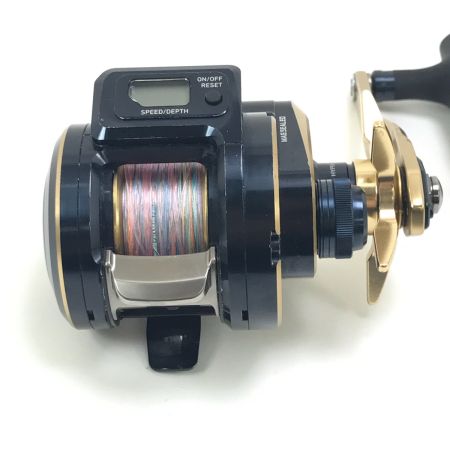  DAIWA ダイワ ベイトリール 21ソルティガIC 300H-SJ 034725