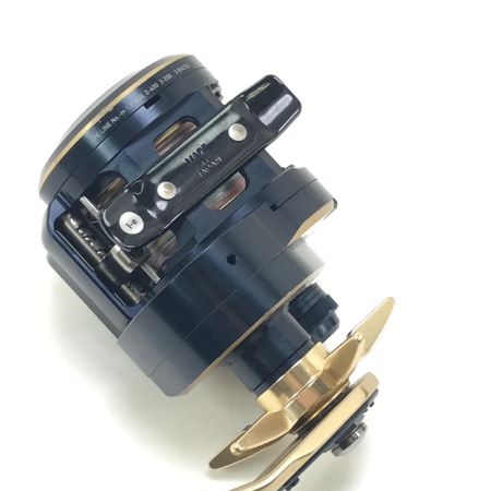  DAIWA ダイワ ベイトリール 21ソルティガIC 300H-SJ 034725