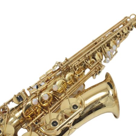  YANAGISAWA 管楽器 アルトサックス A-500