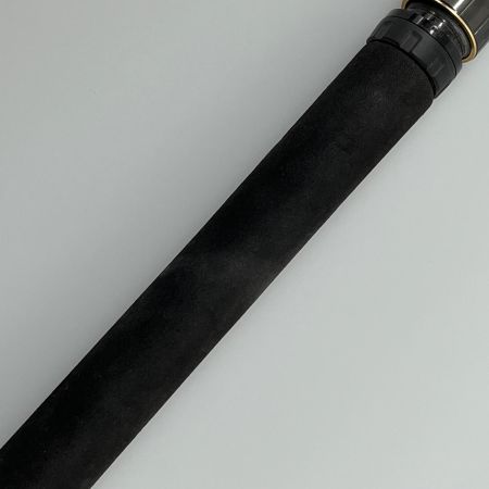 DAIWA ダイワ ロッド オフショアロッド ソルティガAP C78-10-R 3p 05804062