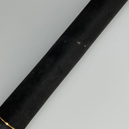 DAIWA ダイワ ロッド オフショアロッド ソルティガAP C78-10-R 3p 05804062