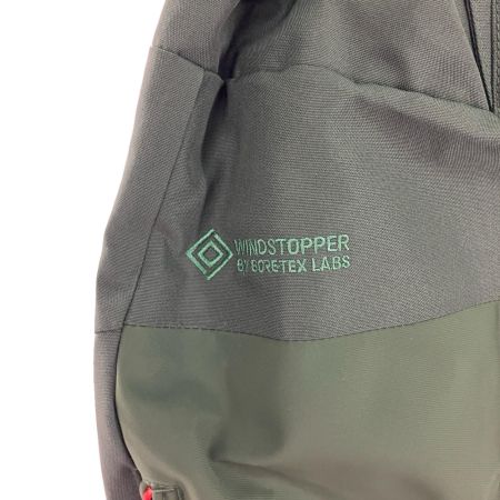  PHENIX フェニックス スキーウェア パンツ PHENIX Lサイズ  グリーン