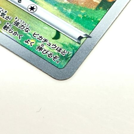   Pokemon ポケモン  ピカチュウ AR VSTARユニバース 205/172