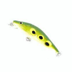 Anglo&company ウッドベイト 割れ有り Cランク