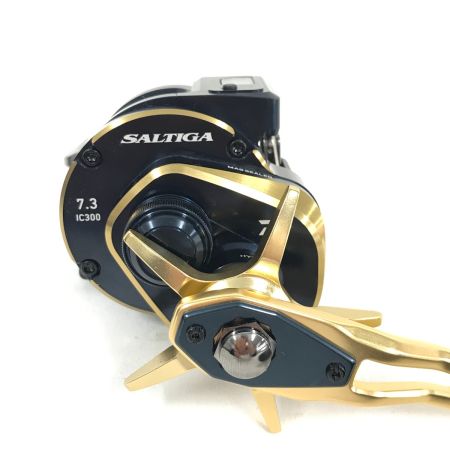  DAIWA ダイワ ベイトリール 21ソルティガ IC 300H-SJ 00631506