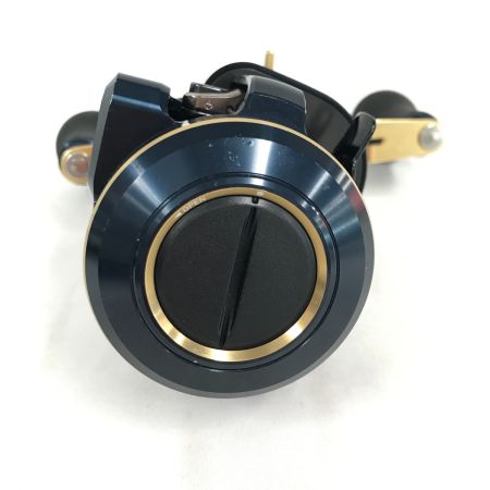  DAIWA ダイワ 両軸リール 21 ソルティガIC 100PL-DH 034671