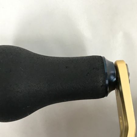  DAIWA ダイワ 両軸リール 21 ソルティガIC 100PL-DH 034671