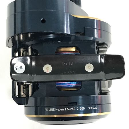  DAIWA ダイワ 両軸リール 21 ソルティガIC 100PL-DH 034671