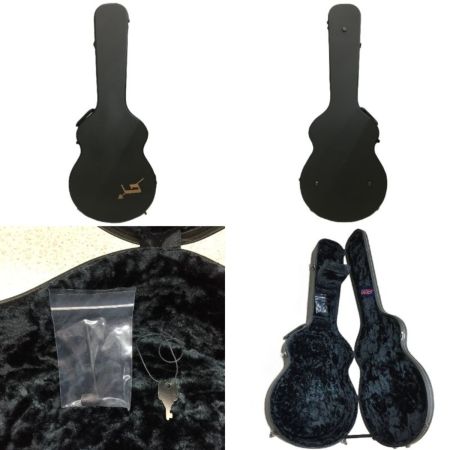 GRETSCH エレキギター ホロウボディ ハードケース付 6120-60 ウェスタン・メイプル・ステーン