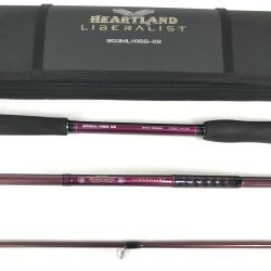 $$ DAIWA ダイワ ルアーロッド ハートランド リベラリスト 903ML+RSS-22 ケース付 05806403 Bランク