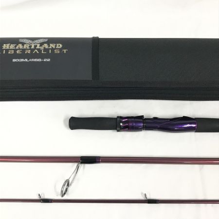  DAIWA ダイワ ルアーロッド ハートランド リベラリスト 903ML+RSS-22 ケース付 05806403