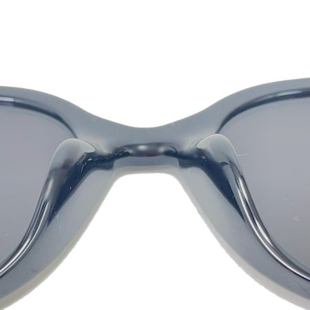  SAINT LAURENT(Yves Saint Laurent) サングラス SL317/F ブラック