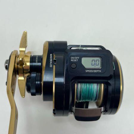  DAIWA ダイワ 両軸リール 21ソルティガIC 300L 034718