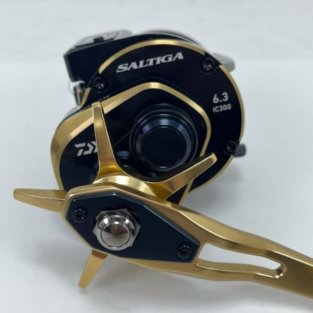  DAIWA ダイワ 両軸リール 21ソルティガIC 300L 034718