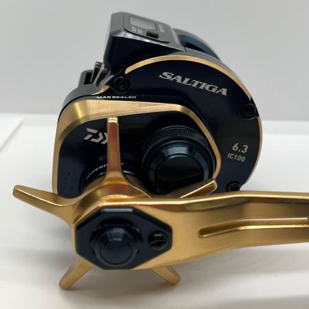  DAIWA ダイワ 両軸リール 21ソルティガ IC 100L 3034695